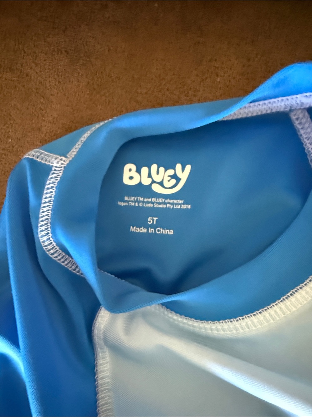 Bluey Bingo Kids swim shorts and Rash Guard swim Set - Picture 6 of 6